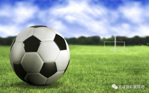 荷兰足球爆料视频最新下载,独家下载揭秘赛场幕后风云